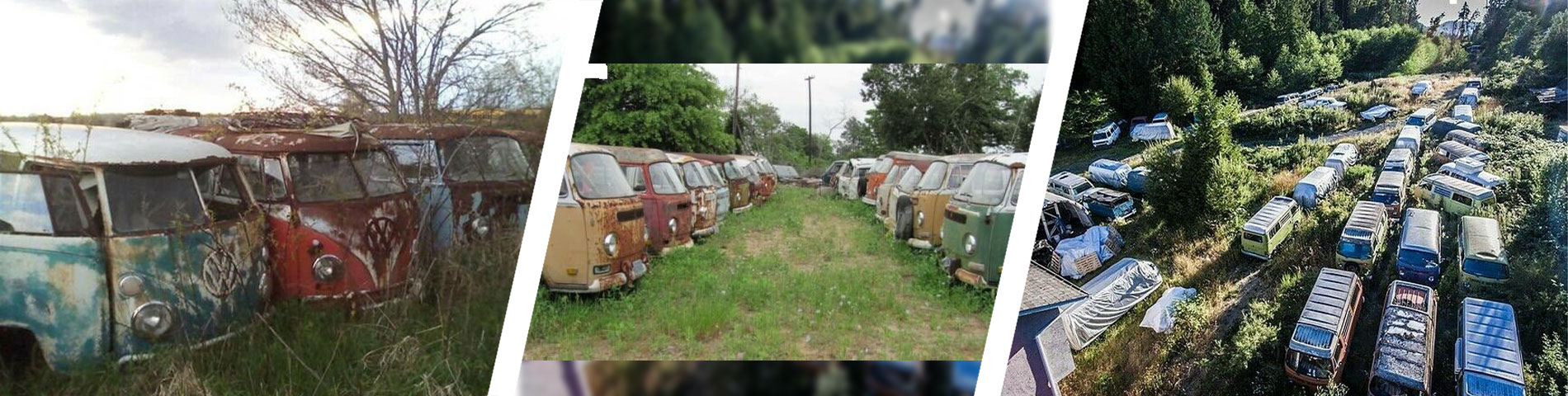 Ogłoszenie dla odważnych szaleńców, mających bzika na punkcie klasycznych Volkswagenów